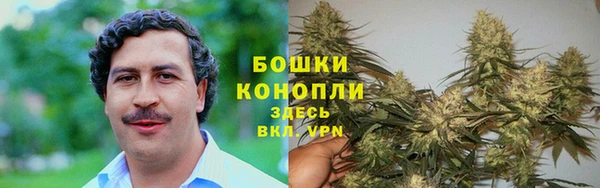 гидра Кукмор