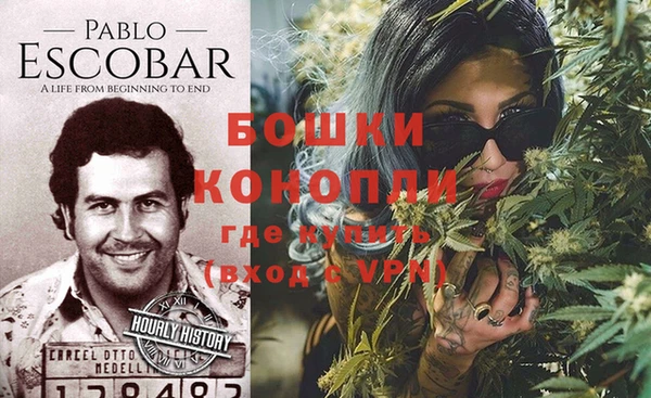гидра Кукмор