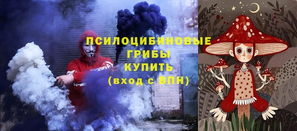 гидра Кукмор