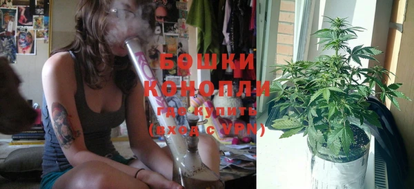 гидра Кукмор