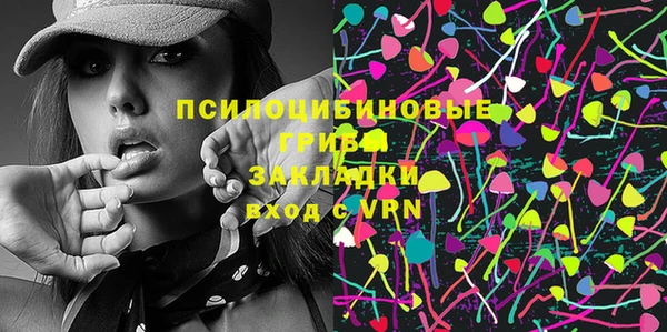 гидра Кукмор