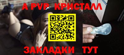 ALPHA PVP Гай
