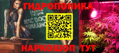 ALPHA PVP Гай
