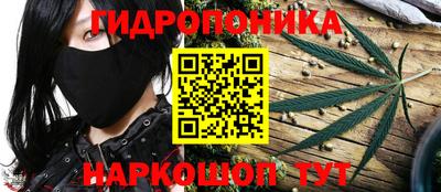 круглые Гатчина