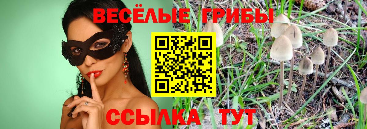 Псилоцибиновые грибы Magic Shrooms Кемерово