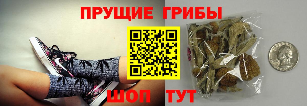 Псилоцибиновые грибы прущие грибы  Галлюциногенные грибы Magic Shrooms  Кемерово 